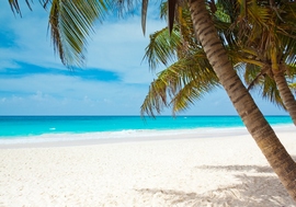 Mini Croisière Bahamas & Key West