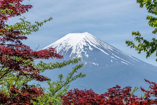 Mt Fuji (Shimizu)