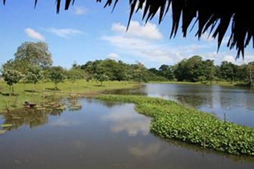 Navigation sur l' Amazone