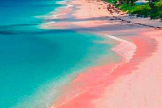 Pink Beach/Komodo